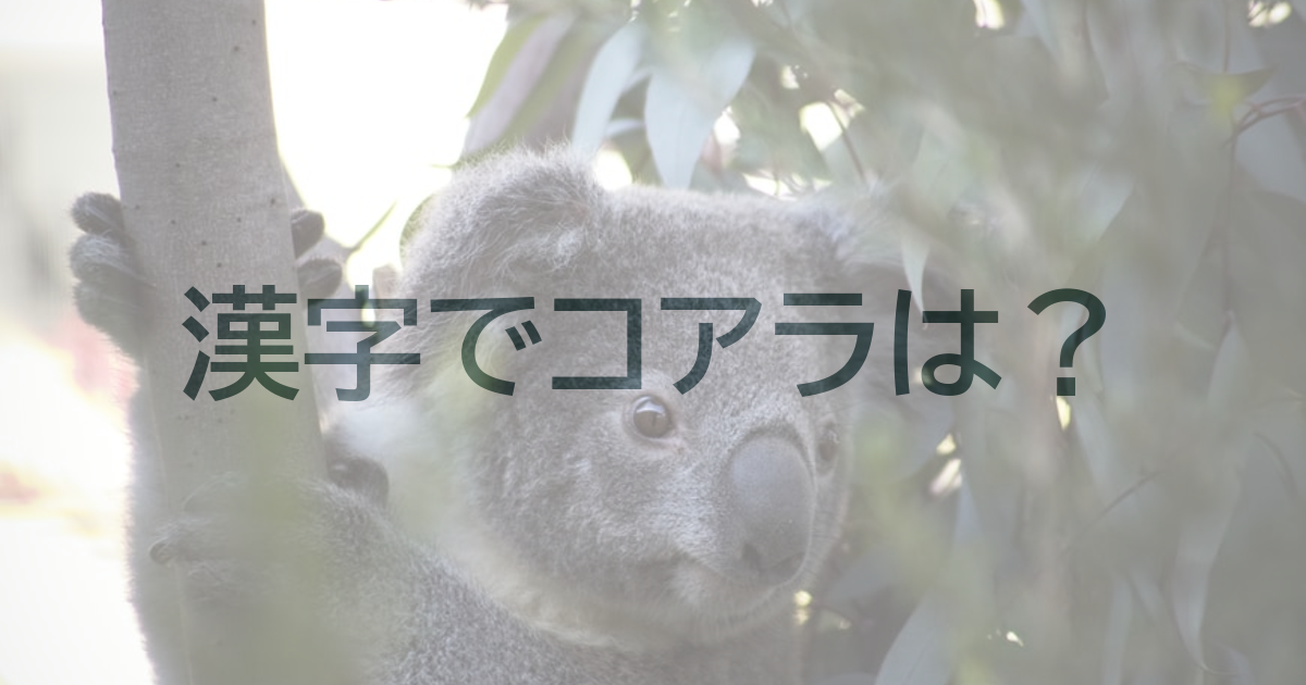 コアラ