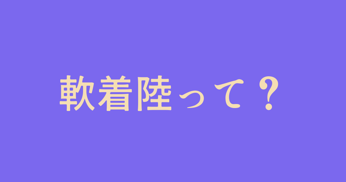 軟着陸 ソフトランディング とは 意味 使い方 反対語 ファンタジーな かんじ