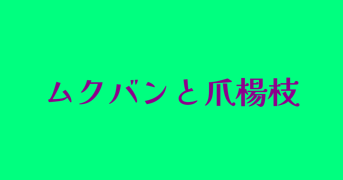 むくばん、モクバン