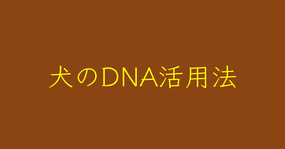 犬のDNA