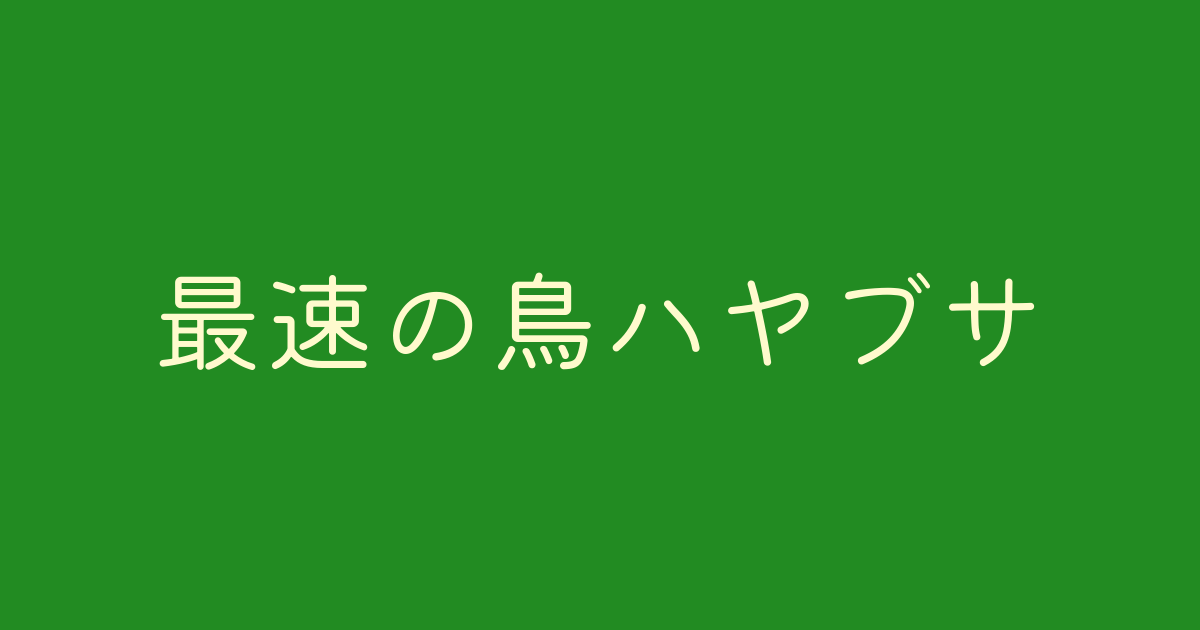 最速の鳥ハヤブサ