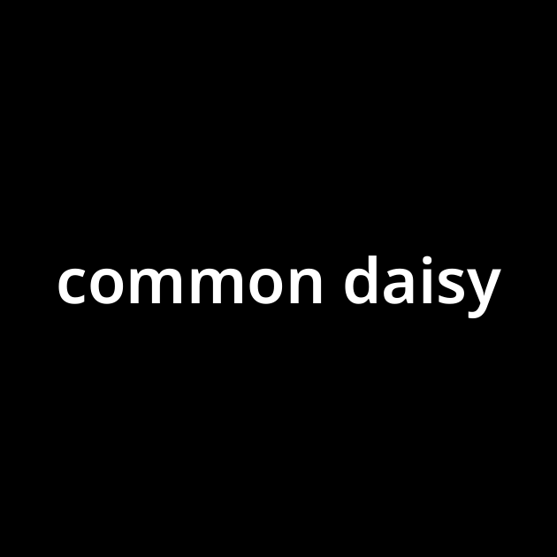 コモン デイジー Common Daisy とは カタカナ語の意味 発音 類語辞典