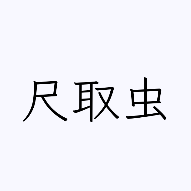 尺取虫 とは カタカナ語の意味 発音 類語辞典