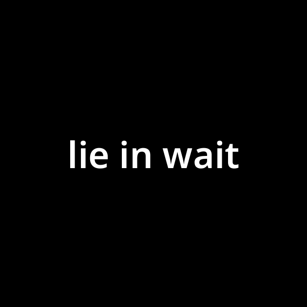 Lie In Wait Meaning Origin